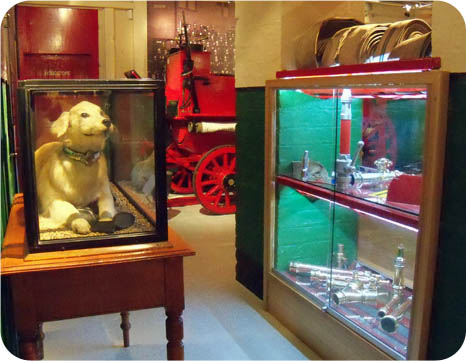 Wallace the Fire Dog