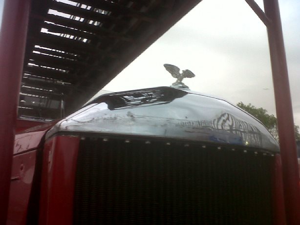 Smart Radiator Cap Emblem